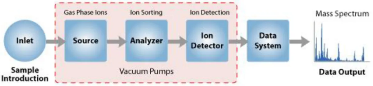 Figure 6 - Components of a Mass Spectrometer (52). 