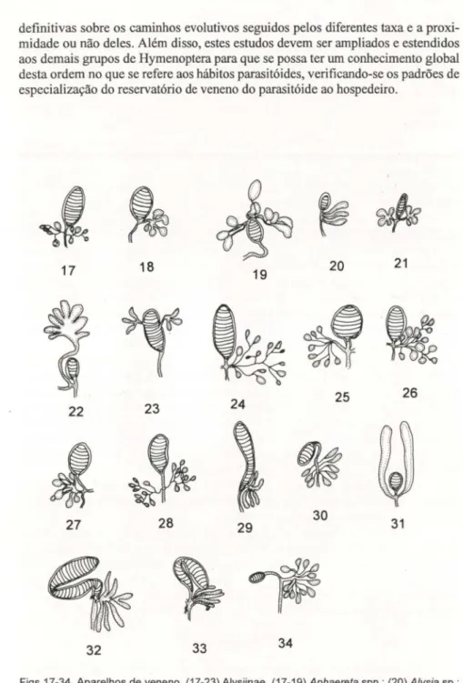 Figs 17-34. Aparelhos de veneno. (17-23) Alysiinae. (17-19) Aphaereta spp.; (20) Alysia sp.;