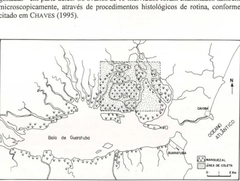 Fig. 1. Localização da área de estudo (retângulo pontilhado) dentro da Baía de Guaratuba, litoral do Paraná, Brasil (25°52'8, 48°39'W).