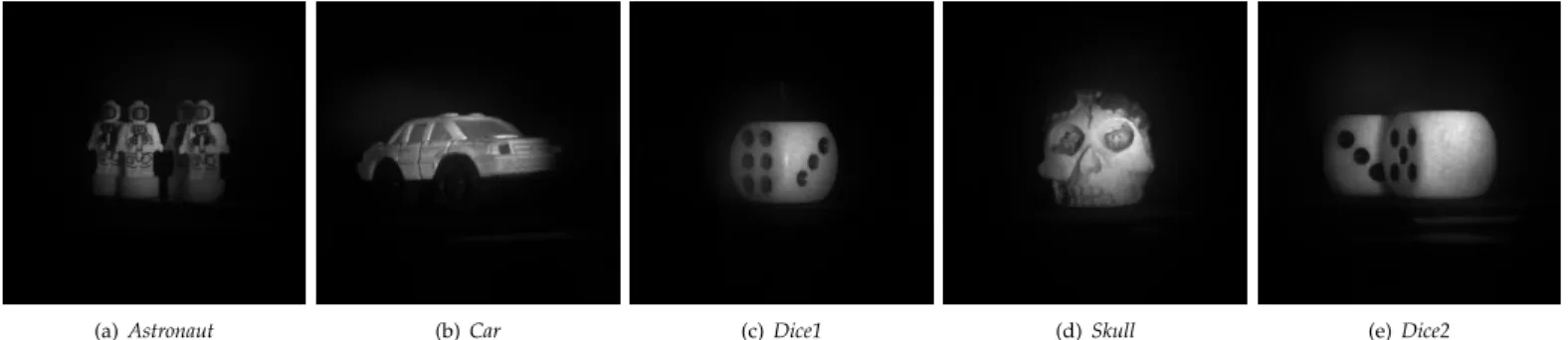 Fig. 2. Experimental acquired holograms from EmergImg-HoloGrail-v2.