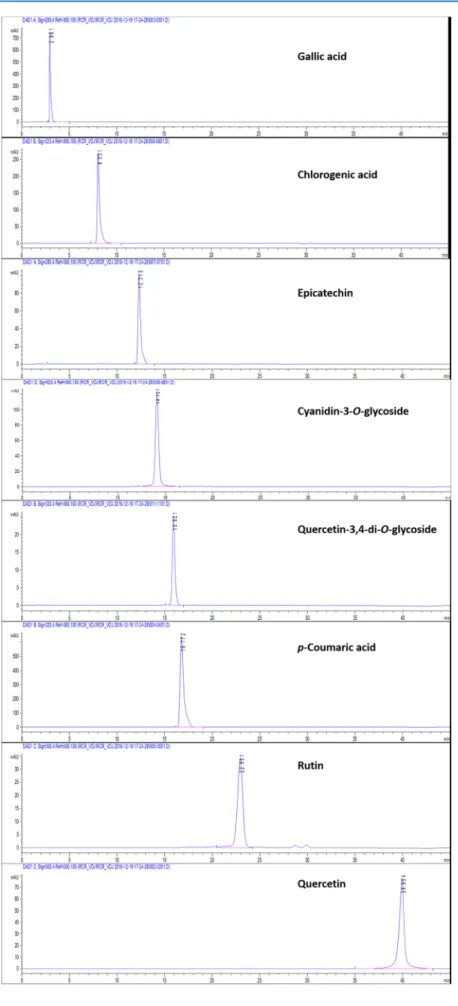 Figure 2. Chromatogram of the studied phenolic compounds.