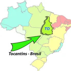 Figura 1 – Mapa do Brasil (adaptado), ao centro o Estado de Tocantins  Fonte: Instituto Brasileiro de Geografia e Estatística (IBGE) 