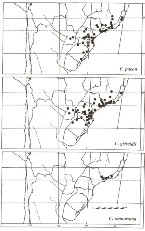 Fig . 42. Distribuição geográfica das espécies de  Carminda. 