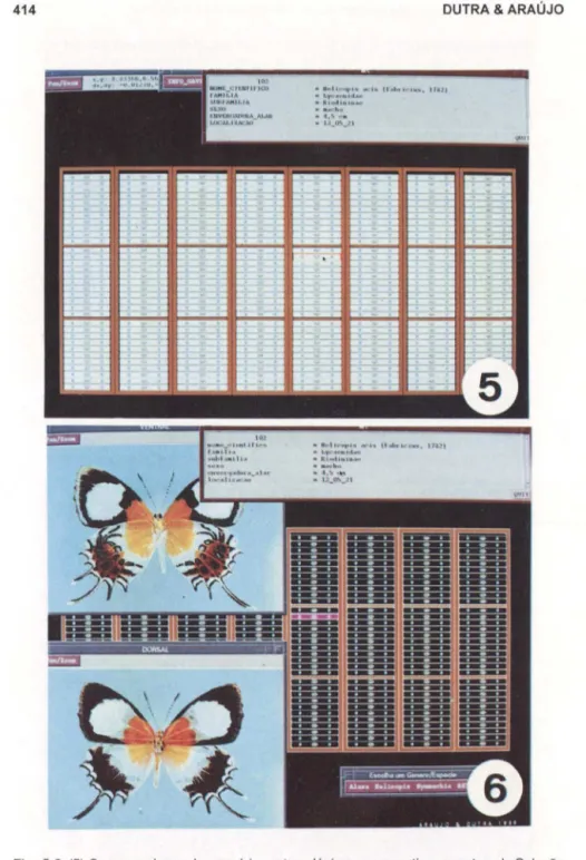 Figs 5-6. (5) Coverage de um dos armários entomológicos, e respectivas gavetas, da Coleção  de Lepidoptera do Departamento de Zoologia da Universidade Federal do Paraná, destacando  uma gaveta selecionada através do cursor, e mostrando as infonmações sobre