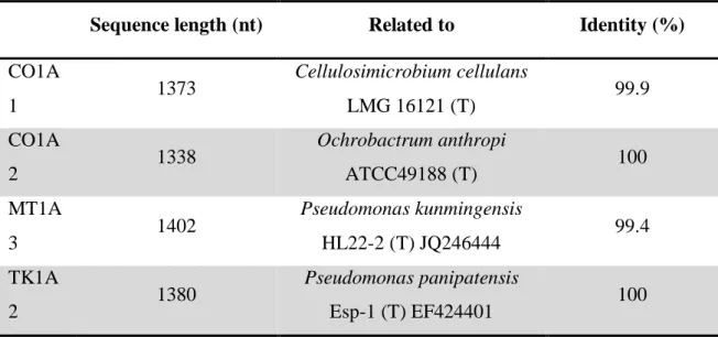 Table 2. Genetic identification of strains by its 16S rRNA gene partial sequence. 