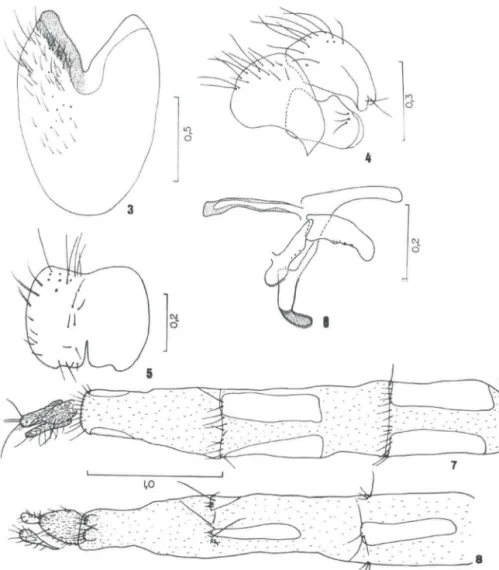 Figs  3-8. Phaonia  equatorialis sp.n .. (3)  Esternito  V,  vista  posterior;  (4)  epândrio, cercos  e  surstilo,  vista  lateral;  (5)  cercos,  vista  posterior;  (6)  edeago  e  acessórios,  vista  lateral;  (7)  ovipositor,  vista dorsal; (8) oviposi