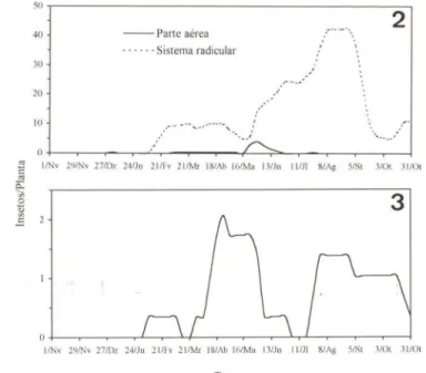 Figs 2-3.  Flutuação populacional de  himenópteros em jiloeiro, Viçosa,  Minas Gerais,  1984 e  1985