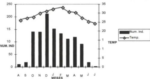 Fig . 1. Número de machos coletados no período de agosto de 1994 a julho de 1995, de acordo  com a temperatura