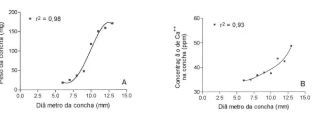 Fig.  1. Bradybaena similaris não-infectada (grupo controle). (A) Peso das conchas em função  do diâmetro das conchas; (B) concentração de cálcio nas conchas em função do diâmetro das  conchas