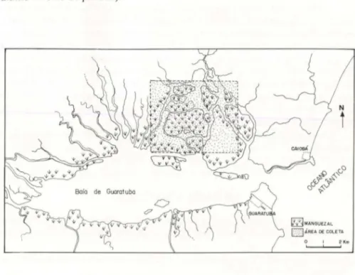 Fig . 1. Localização da  área  de  estudo  (retângulo  pontilhado) dentro da  Baia  de  Guaratuba,  litoral do Paraná  (25°52'8  -48°39'W)