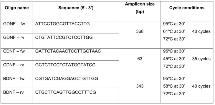 Table 1- Details of specific primers used for amplification of GDNF, CDNF and BDNF  genes in astrocytes cDNA by conventional PCR