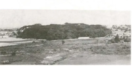 Fig.  1.  Vista panorâmica geral do Capão da Imbuia,  Curitiba,  Paraná . 