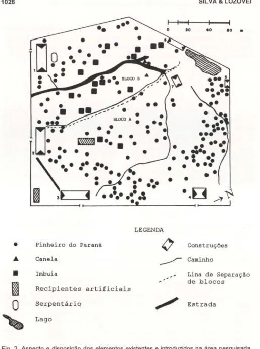 Fig. 2. Aspecto  e disposição  dos  elementos  existentes  e  introduzidos  na  área  pesquisada,  Capão da  Imbuia,  Curitiba , Paraná
