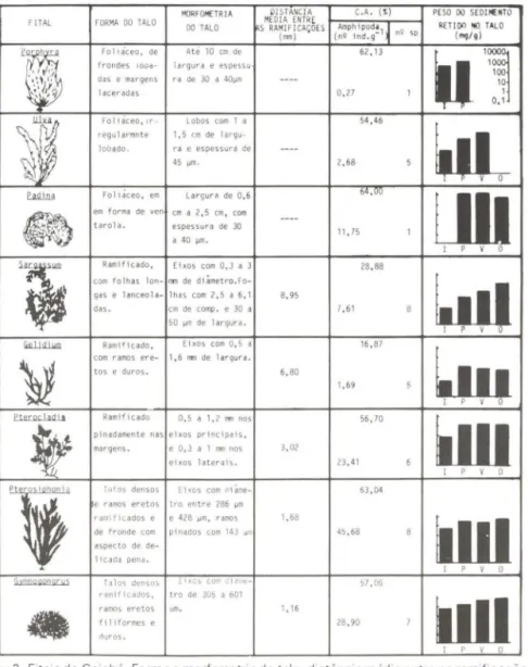 Tabela  III .  FitillS  de  Caiobâ .  Forma  e  morfometria  do  talo,  distãncia  media  entre  as  ramificações  e  coeficien te s  de  adsorção  das  algas-substrat o  (C .A.)