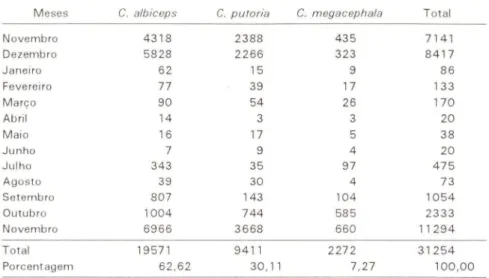 Tabela I. Número total e freqüência relativa 1%1 das três espécies de Chrysamva, no periodo de novembro/88 a novembro/89, no pomar da Chácara São Domingos (Goiânia, Goiás).