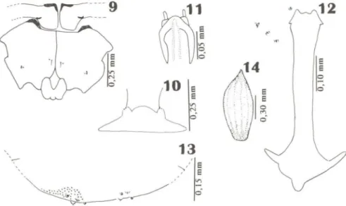 Figs 9-14. (9) Pupa, região cefálica, vista ventral; (10) pupa, papilas verticais, vista dorsal;