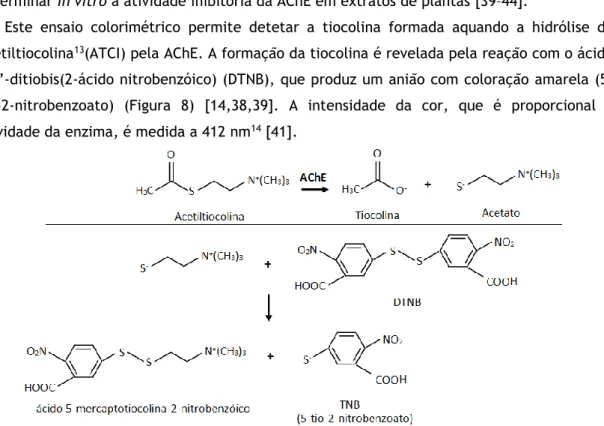 Figura 8 – Reações envolvidas no Método de Ellman. Figura adaptada de [40]. 