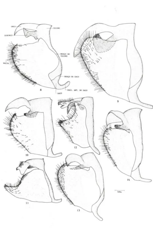 Fig,  8-14,  Genitália dlllllacho. vista  lateral.  (li)  M,  &#34;deI/o/' vio/ace/L';  (9)  I