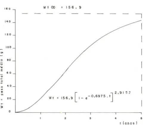 Fig. 9. CaUinectes danae. CUlva de crescimento em peso (g) para machos.