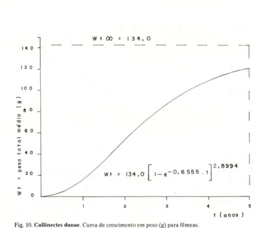 Fig. 10. Callinectes danae. Curva de crescimento em peso (g) para fêmeas.