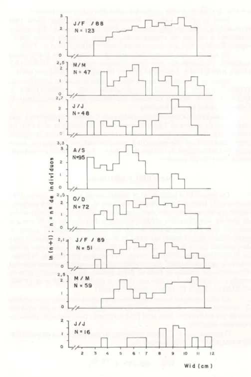 Fig. 2. Call1nectes danae. Distribuição de freqüência das classes de largura da carapaça de fêmeas, em amostras sucessivas do período de jan/88 a jul/89.