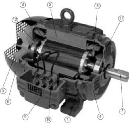 Figura 2.1 - Detalhes de um motor de indução trifásico