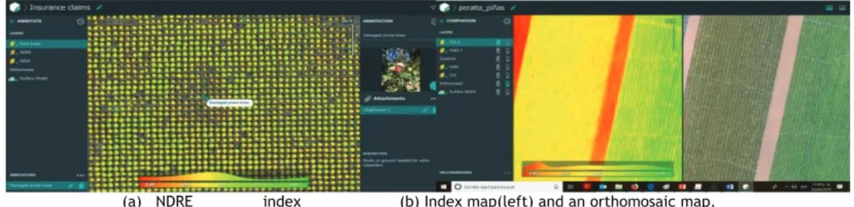 Figure 4: Example windows of Pix4D Drone maapping software.