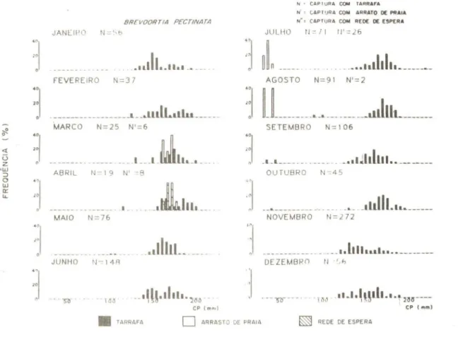 Fig. 8  - Distribuição  mensal  de  freqüên cia  por  classes  de  CP  para  B.  pectinata