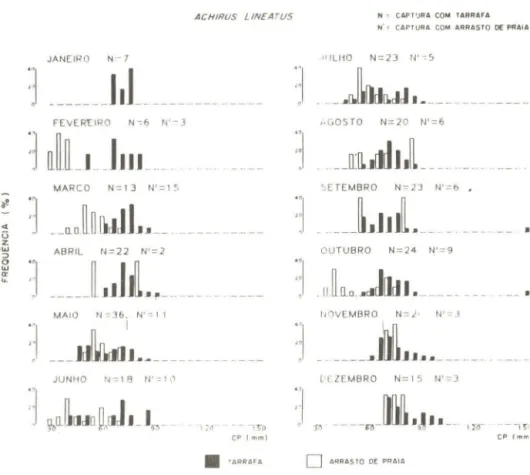 Fig.  12  - Distribuição  mensal  de  ｦｲ･ｱ￼ｾｮ｣ｩ｡＠ por  classes  de  CP  para  A .  lineatus