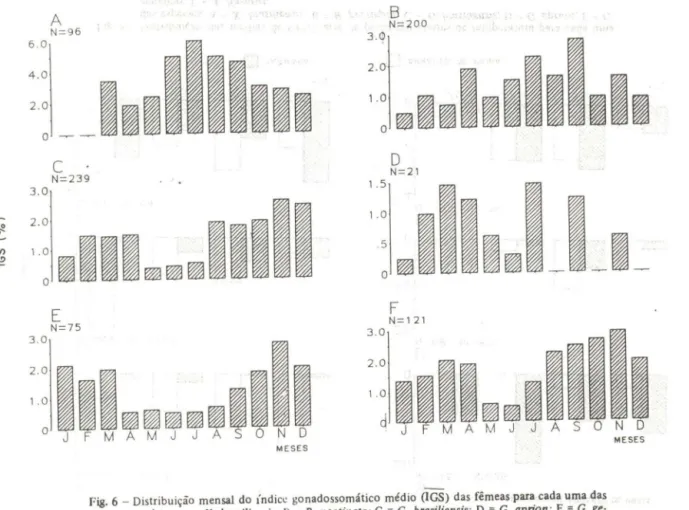 Fig.  6  - Distribuição  mensal  do  índice  gonadossomático  médio  (IGS)  das  fêmeas  para  cada uma das  espécies: A  =  X 