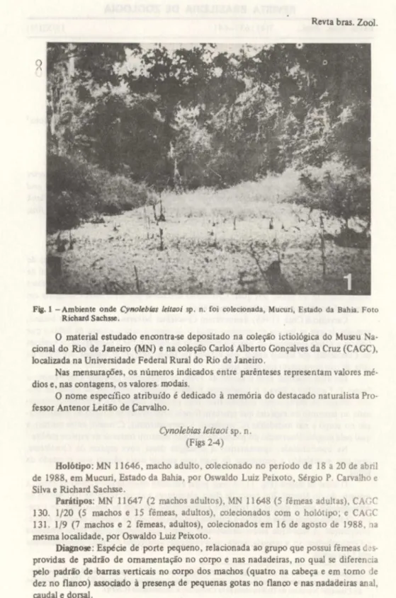 Fig. 1 - Ambiente  onde  Cynolebios  leiloo  i  sp .  n.  foi  cOlecionada,  Mucuri,  Estado  da  Bahia