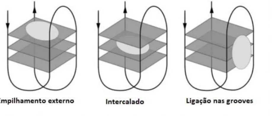 Figura 10. Representação do complexo ligando-G4 através de ligação externa na superfície da G-tétrada  terminal (esquerda), intercalada entre as G-tétradas (centro) e ligação nas depressões (esquerda) 