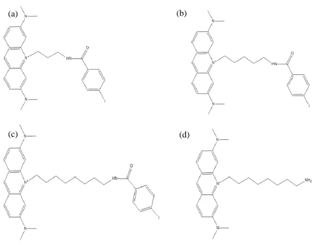 Figura 20. Estrutura química dos derivados de laranja de acridina, (a) C 3 , (b) C 5 , (c) C 8  e (d) C 8 -NH 2 