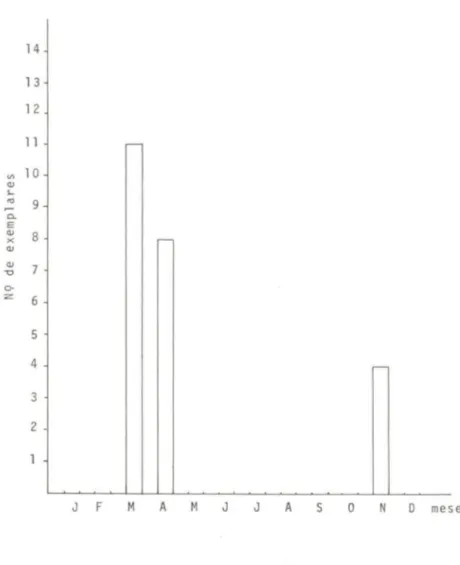 Fig.  5.  Relação entre o número de fêmeas grávidas de Molossus molossus e os meses do ano