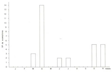 Fig.  6.  Relação  entre  o  número  de  machos  de  Molossus molossus  com  espermatozóides no  epid!dimo e os meses do ano