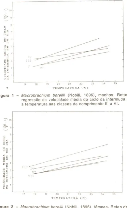 Figura  2  - Macrobrach ium  borellii  (Nobili,  1896),  fêmeas.  Retas de  re- re-gressão  da  velocidade  média  do  ciclo  da  intermuda  para  a temperatura nas classes  de  comprimento  III  a  VII