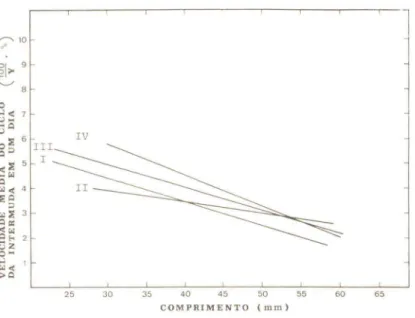 Figura  3  - Macrabrachium  barel/ii  (Nobili,  1896),  machos.  Retas  de  regressão  da  velocidade  média  do  ciclo  da  intermuda  para  o  comprimento  nas  classes  de  temperatura  I a  IV