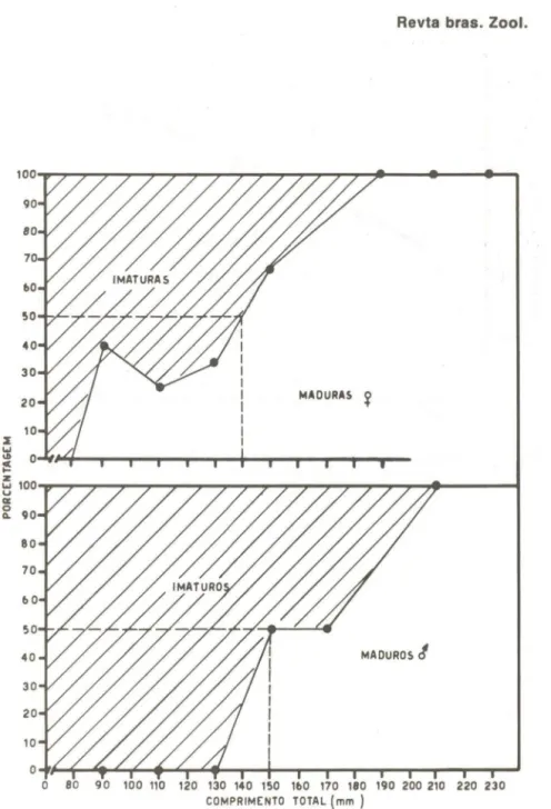 Fig.  5  - Inrcio  da  primeira  maturaçAo  sexual  das  fêmeas  e  dos  ma- ma-chos  de  Hypostomus  fluviatilis  (Schubart,  1964)