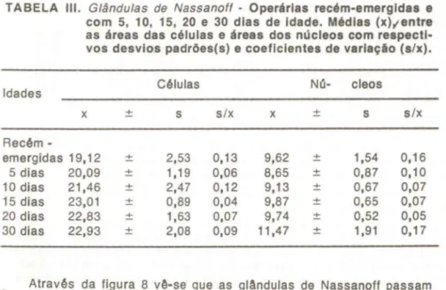TABELA  III.  Glândulas  de  Nassanoft  - Operárias  recém-emergidas  e  com  5,  10,  15,  20  e  30  dias  de  Idade