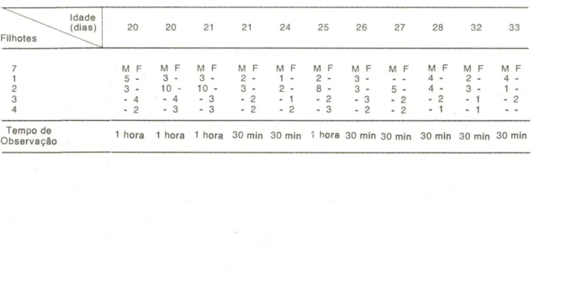Tabela I - Freqü.ência de alimentação diferencial dos filhotes, do casal A (8. f. brasi/iensis)