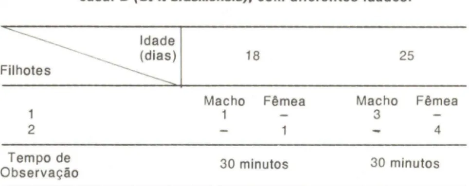 Tabela 11 - Freqüência de alimentação diferencial dos filhotes, do casal 8 (S. f. brasi/iensis), com diferentes idades.