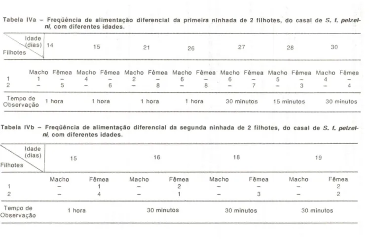 Tabela IVb - Freqüência de alimentação diferencial da segunda ninhada de 2 filhotes, do casal de S