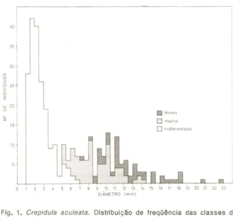 Fig. 1. Crepidula aculeata. Distribuição de freqüência das classes de maior diâmetro da concha de indivíduos com sexo  indiferencia-do, macho (com pênis) e fêmea (sem pênis).