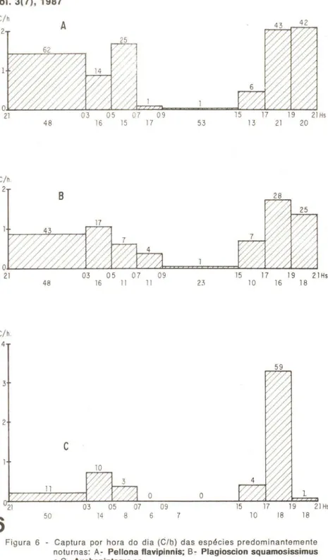 Figura  6  - Captura  por  hora  do  dia  (C / h)  das  espécies  predominantemente  noturnas:  A- Pellona flavipinnis;  ｂｾ＠ Plagioscion  squamosissimus  e  C- Auchenipterus  sp 