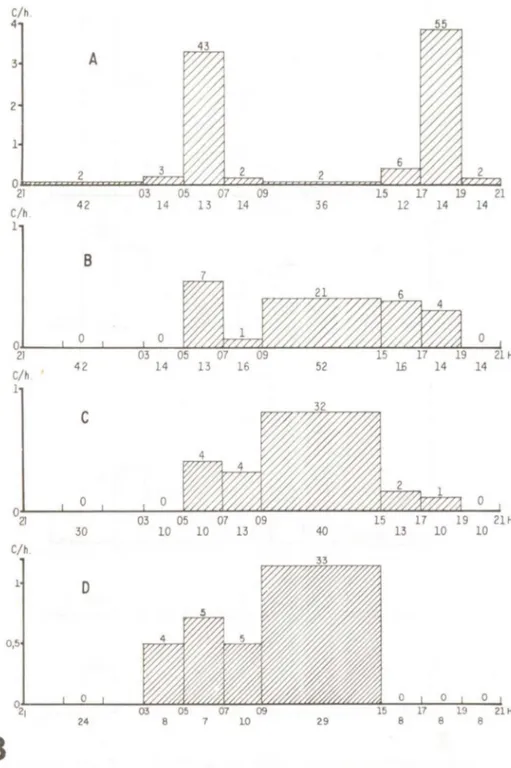 Figura  3  - Captura  por  hora  do  dia  (C/ h)  de  esp éci es  predominantemente  di urn as:  A - Laemolita  varia;  B- Cichla  ocellaris;  C- Geophagus  jurupari  e  D - Cichlasoma sp