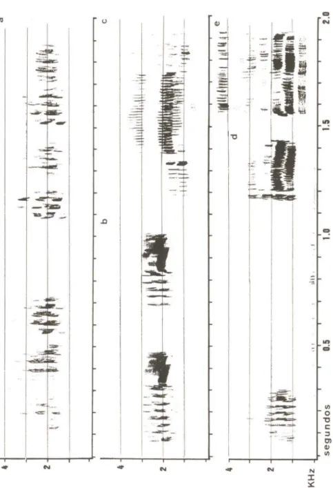 Fig.  2  - Sonograma  de  vozes  de  Anodorhynchus  hyacinthlnus  (a,  pousado;  b,  prime ires  gritos  de  vOo)  gravados por  J