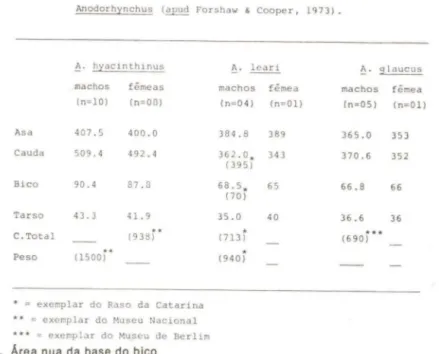 TABELA  I.  Valores  médios  das  medidas  (mm)  e  peso  (g)  ｮｾｳ＠ c5pecies  de  Anodorhynchus  (apud  Forshaw  &amp;  Cooper,  1973)