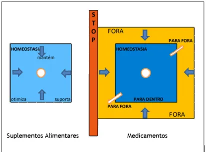 Figura 2 — Esquematização do modelo de Homeostasia. O quadrado azul representa os limites normais  dos processos fisiológicos, enquanto o quadrado amarelo representa os processos fisiológicos que estão  fora  da  normalidade