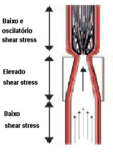 Figura 1.2 – Shear-stress. O “shear-stress” é um termo aplicado à força mecânica que o fluxo de sangue  pode exercer nas paredes dos vasos sanguíneos provocando o arraste das células endoteliais e  consequente exposição do subendotélio