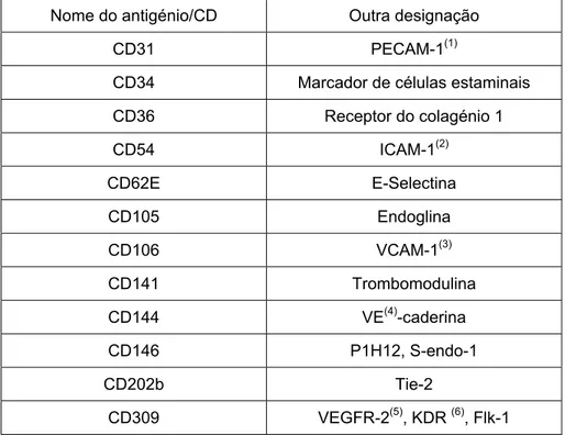 Tabela 1.2 – Antigénios presentes na superfície das células endoteliais (adaptado de  Strijbos et al, 2008 e Khan et al, 2005) 